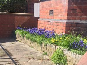 Photo 11- click for photo gallery